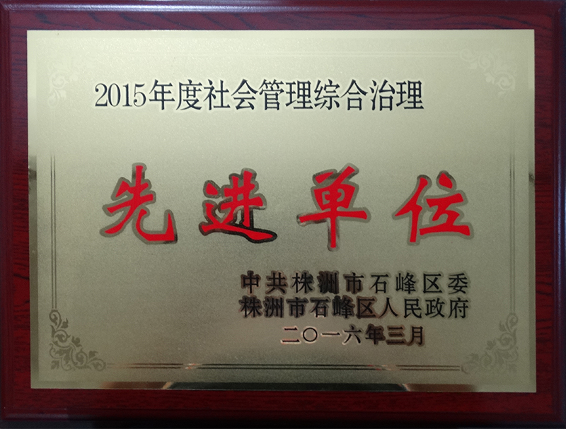2015年度社會管理綜合治理先進(jìn)單位.jpg